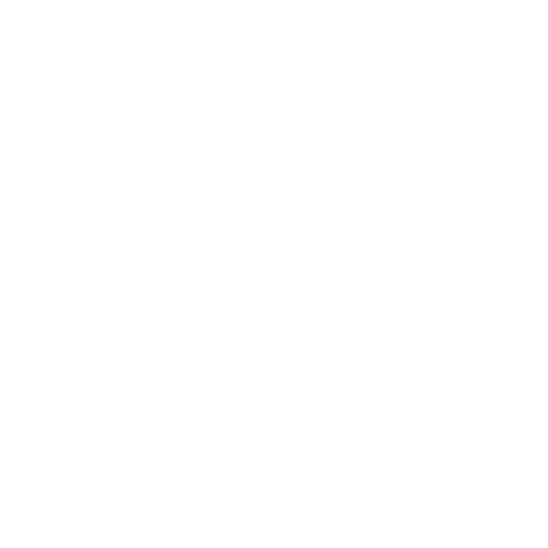 Software Services