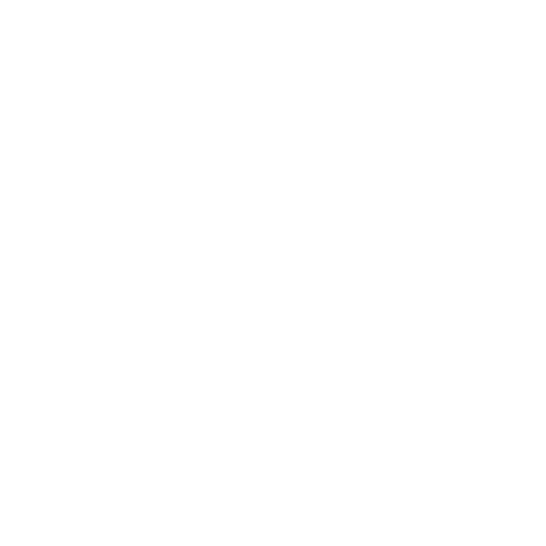 System Integrator Services