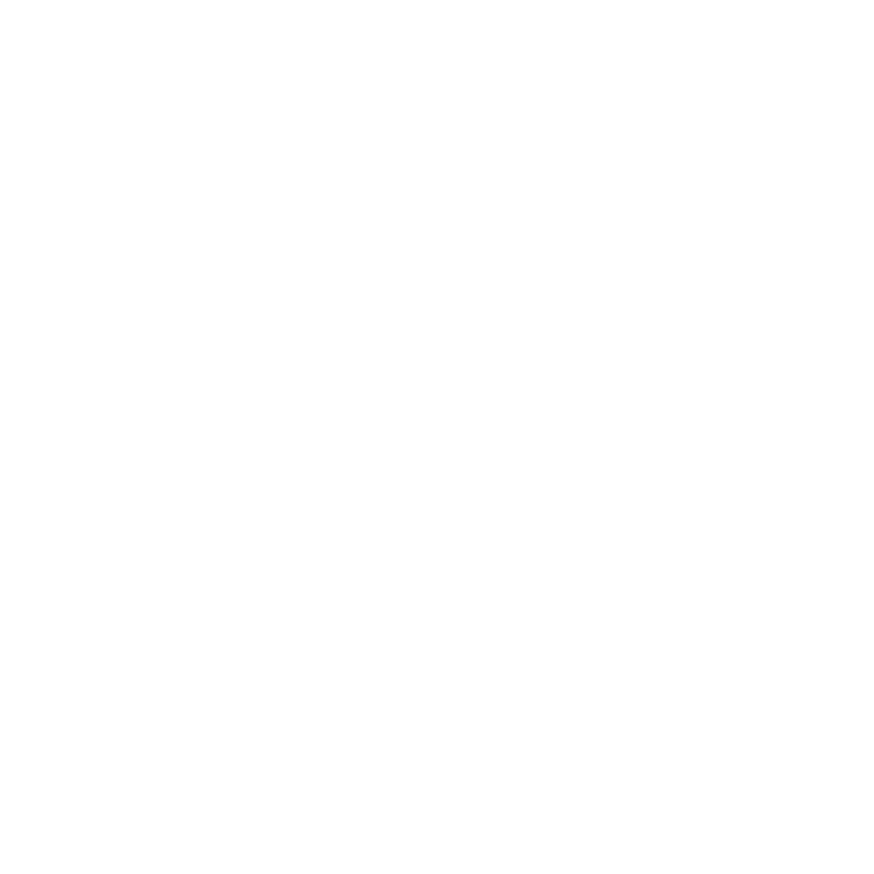 Video Marketing