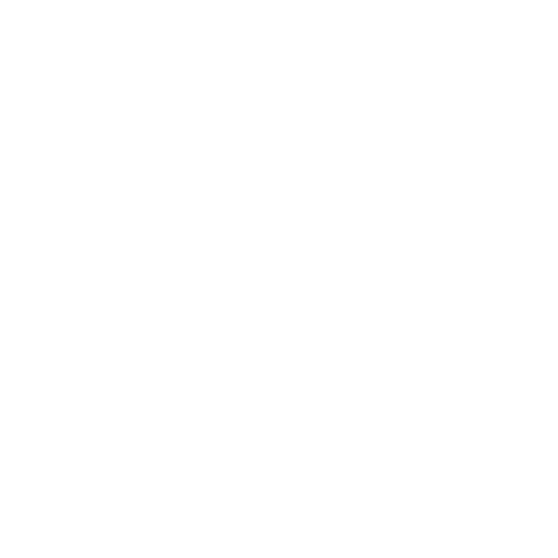 Promotion Execution of Advertising Campaigns