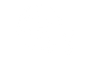 E-commerce Marketing