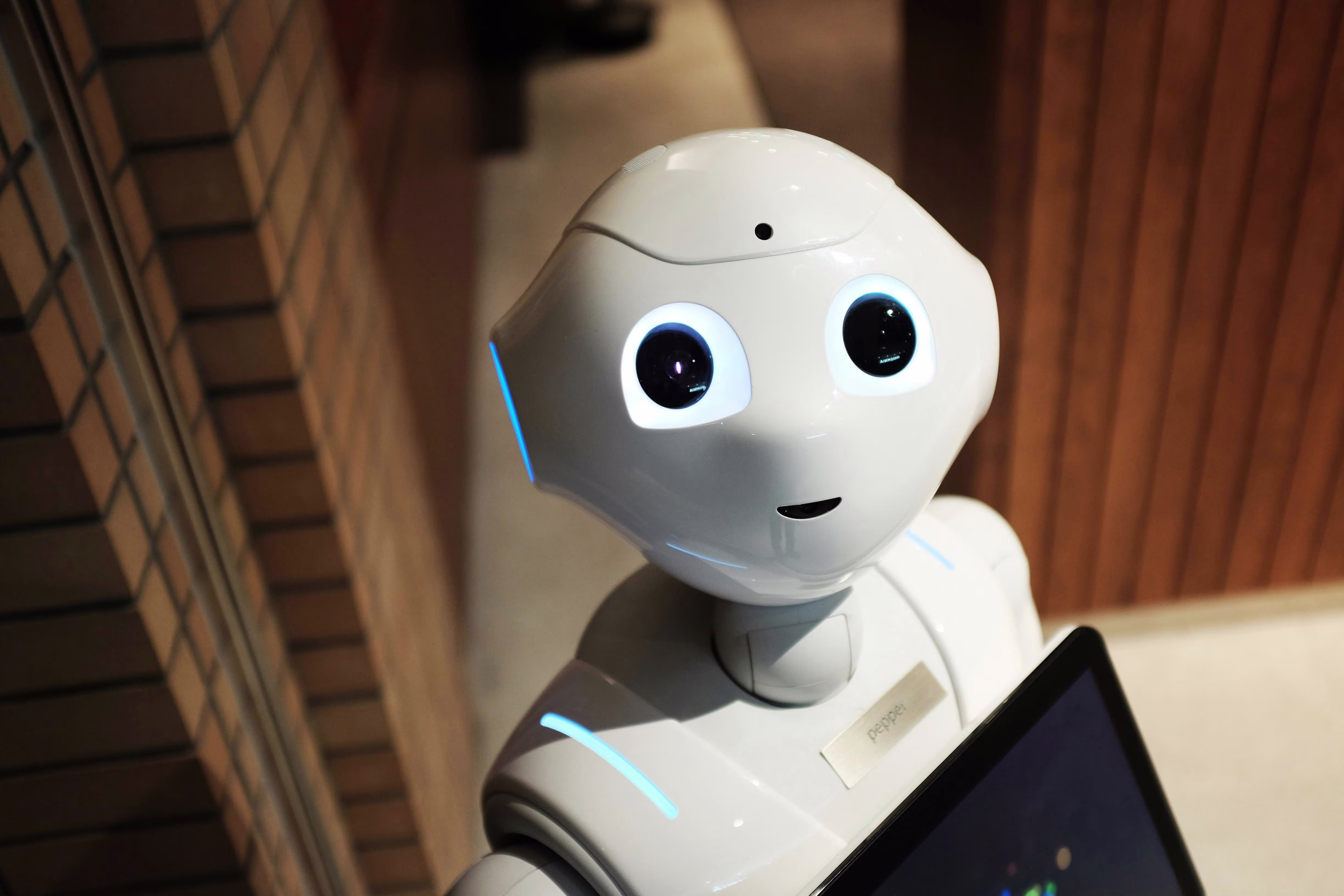 AI Agent Solutions